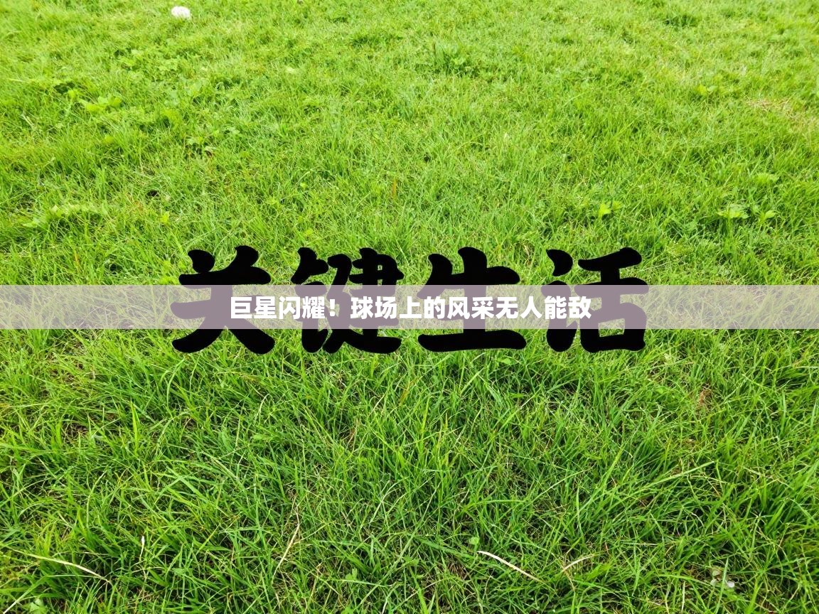 巨星闪耀！球场上的风采无人能敌  第2张