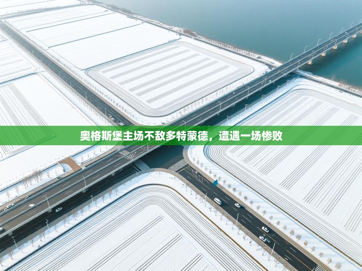 奥格斯堡主场不敌多特蒙德,遭遇一场惨败 第2张