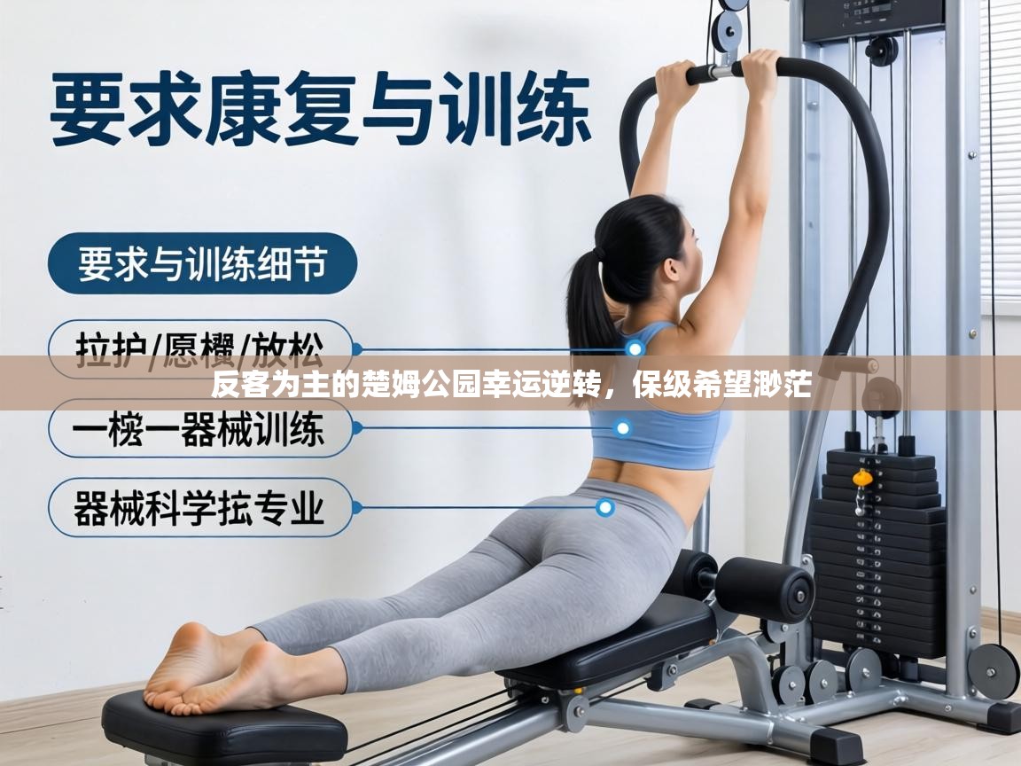 反客为主的楚姆公园幸运逆转,保级希望渺茫 第2张